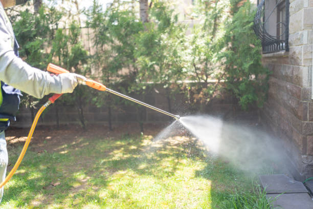Best Flea Control Services  in Norwood, OH
