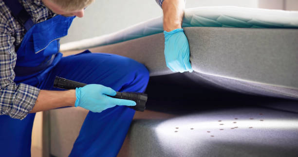 Best Bed Bug Extermination  in Norwood, OH