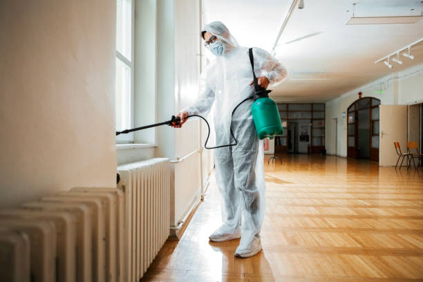 Best Termite Control Services  in Norwood, OH