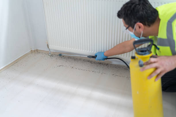 Best Pest Control Near Me  in Norwood, OH
