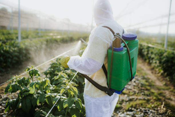 Best Mosquito Control Services  in Norwood, OH